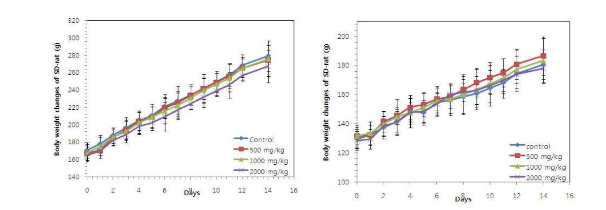 SD male rat에서 SiO2 나노물질(SiO2ENB20,(-))의 투여에 의한 male(좌)과 female(우)에서의 몸무게 변화