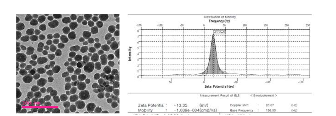 형광 실리카 SiO2ENB20,(-),RITC의 TEM 사진 및 Zeta potential 스펙트럼