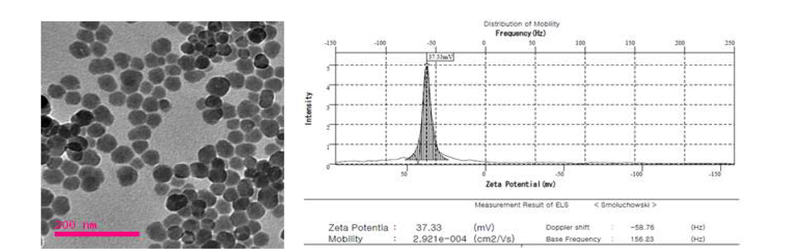 형광 실리카 SiO2ENB20,(+),RITC의 TEM 사진 및 Zeta potential 스펙트럼
