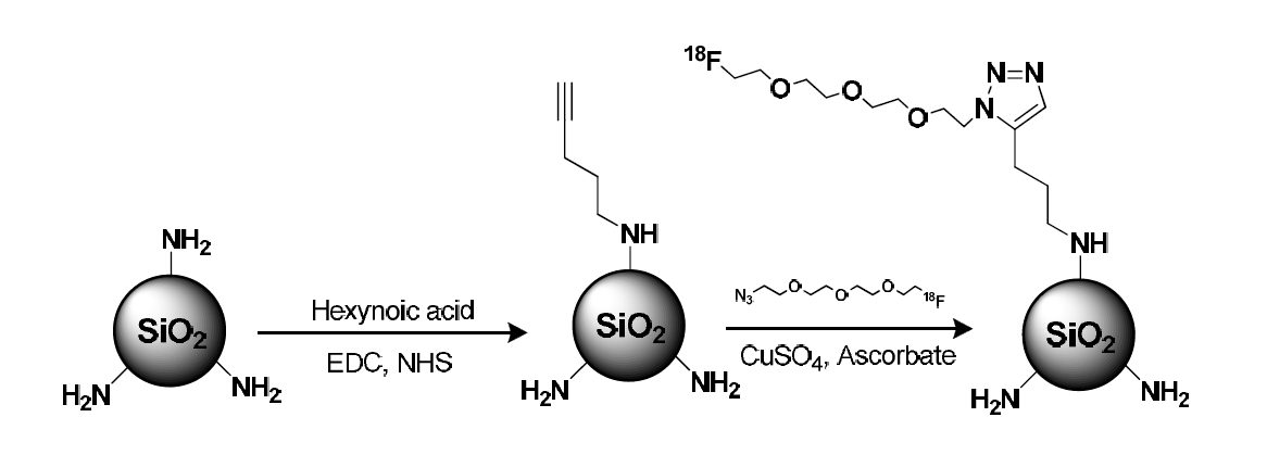 Click reaction을 이용한 실리카 나노입자에 18F 방사성동위원소 표지 과정.