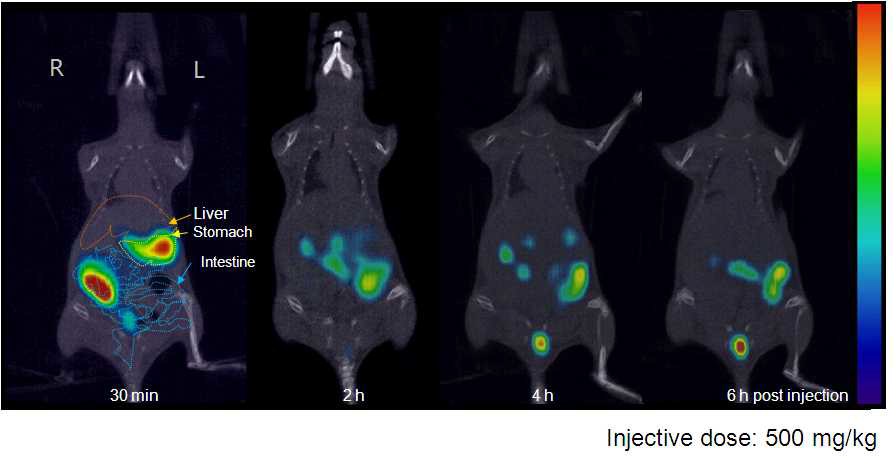 18F-SiO2ENB,100,(-) 경구 투여 후 마우스의 in vivo PET-CT fusion images.