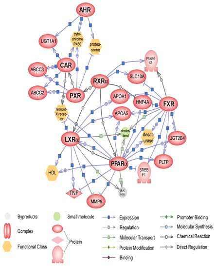 Cross-talk among nuclear receptors