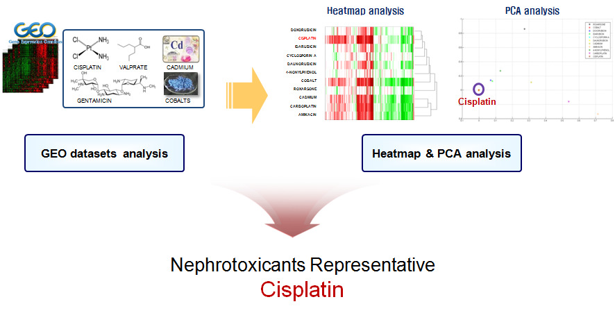 GEO database 분석 및 PCA 분석을 이용한 대표적 신장독성물질 도출