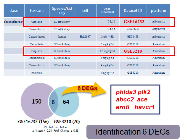 GEO database 선별 및 DEGs 도출