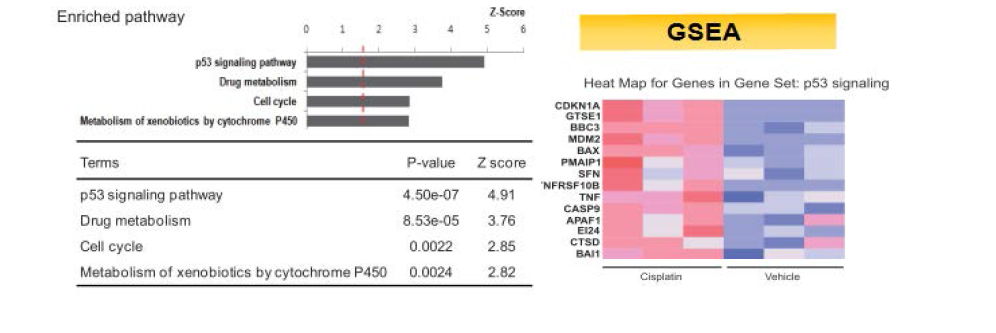 Functional enriched pathway and GSEA