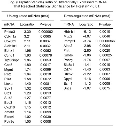 Differentially expressed mRNAs in the kidney of cisplatin-treated mice