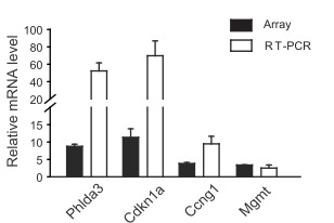 Phlda3, Cdkn1a, Ccng1 and Mgmt expression by cisplatin