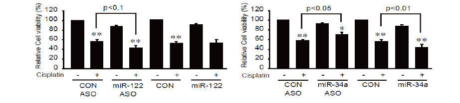Cell viability change by miR-122 and miR-34a