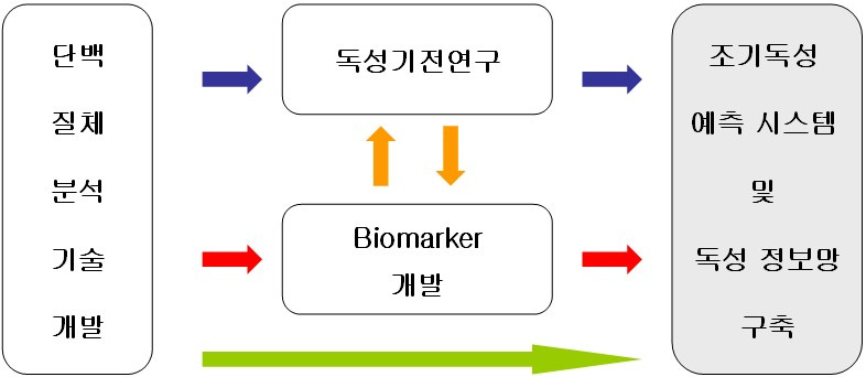 프로테오믹스를 통한 표적 장기 독성 예측 평가시스템 개발