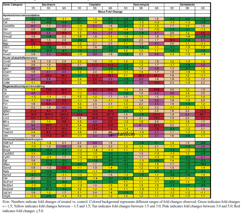 Gene expression changes in kidneys of rats treated with nephrotoxicants (Wang 등, 2008)