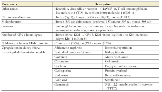 Characteristics of kidney injury molecule-1 (KIM-1) (Vaidya 등, 2008)