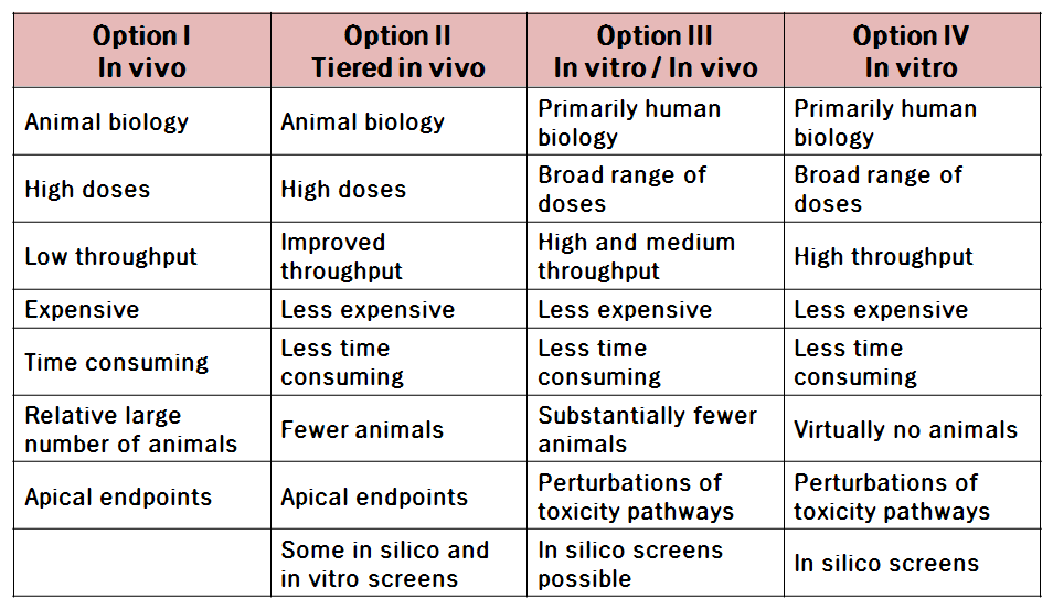 Tox 21에서의 Option I, II, III, IV의 비교분석