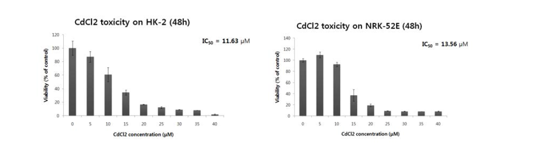 신장세포주에서 신장독성유발물질 CdCl2에 의한 독성 유발 농도 평가