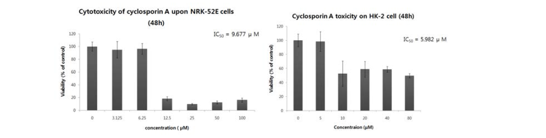 신장세포주에서 신장독성유발물질 cyclosporin A 에 의한 독성 유발 농도 평가