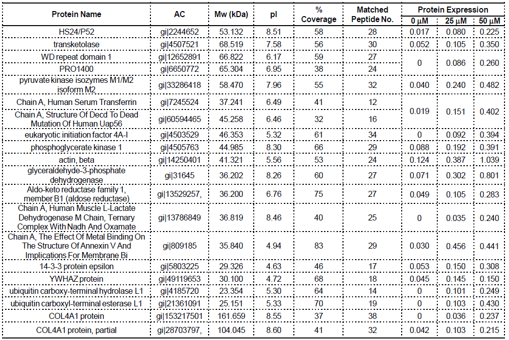 Amphotericin B에 의한 신장 독성 유발 후 분비 단백질 프로파일 - 2-DE/MALDI-TOF-MS analysis, conditioned media of HK-2 cells