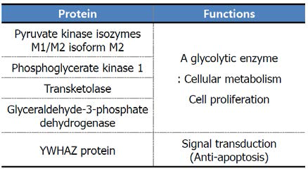 CdCl2/Amphotericin B에 의한 신장 독성 유발 후 공통적으로 분비 증가된 단백질 프로파일 - 2-DE/MALDI-TOF-MS analysis, conditioned media of HK-2 cells
