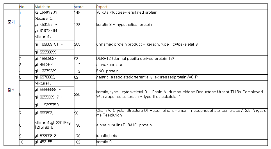 HK-2 세포에서 cyclosporin A 처리 후 단백질 발현 산물 동정