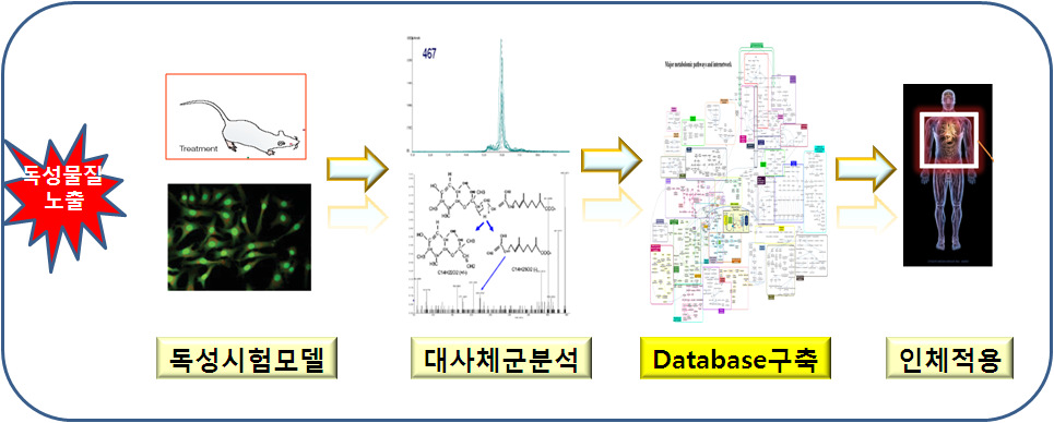 Metabolomics를 이용한 독성 유발 대사체 연구 흐름도