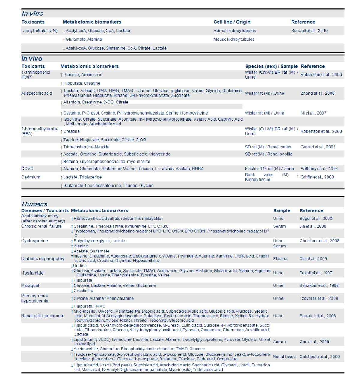 Metabolomic profiling of biomarkers for nephrotoxicity