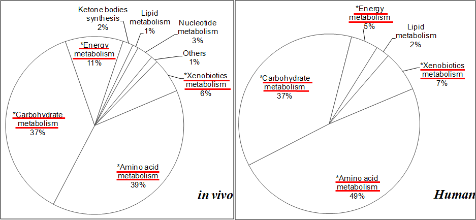 Metabolomic profiling of biomarkers for nephrotoxicity