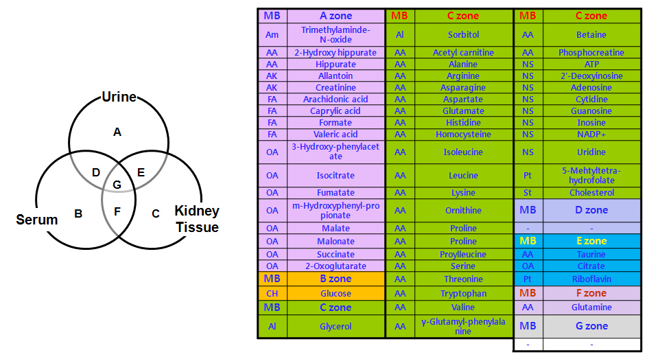 Down-regulated metabolites for nephrotoxicity in vivo