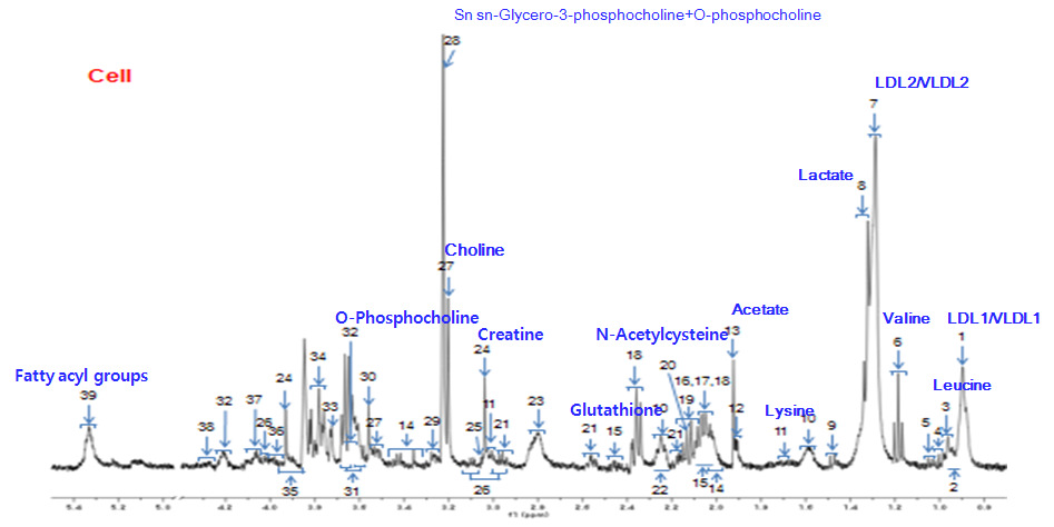 HK-2 세포에서 [1H]NMR based-peak intensity에 의해 변화된 대사체군