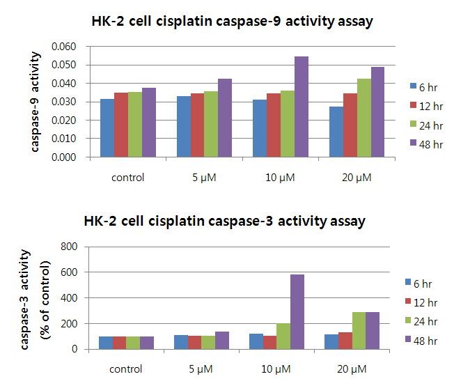 Effects of cisplatin on the activity of caspases in HK-2 cells