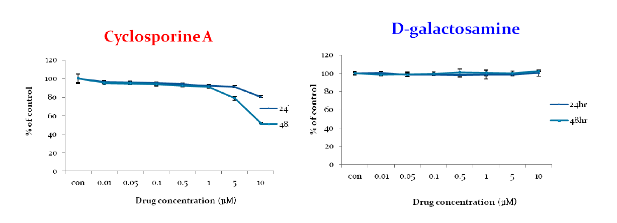Cyclosporin A 및 D-galactosamine의 세포독성에 미치는 영향