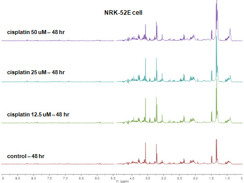 NRK-52E cells에서 [1H]NMR based-peak intensity에 의해 변화된 대사체군