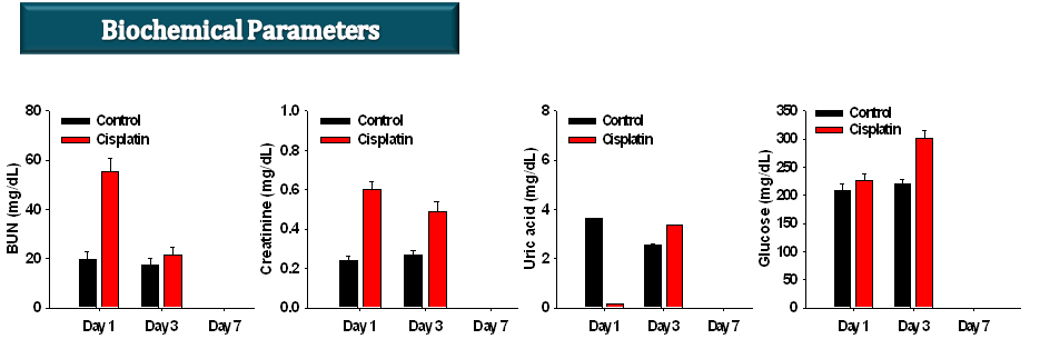 Cisplatin (20mg/kg)을 투여한 Sprague-Dawley rats에서 혈액생화학적 변화
