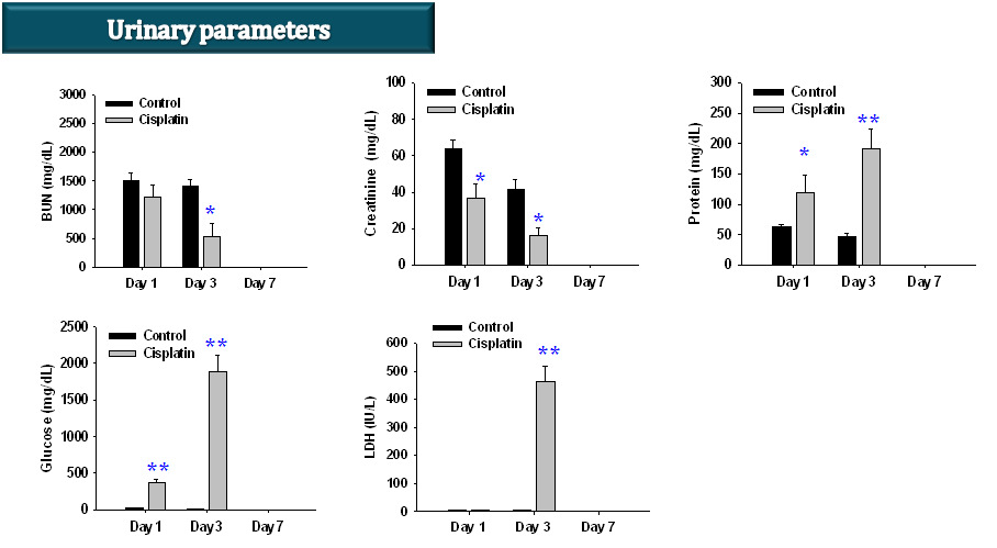 Cisplatin을 투여한 Sprague-Dawley rats에서 뇨분석 변화에 미치는 영향