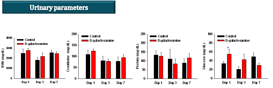 D-galactosamine을 투여한 Sprague-Dawley rats에서 뇨분석 변화에 미치는 영향