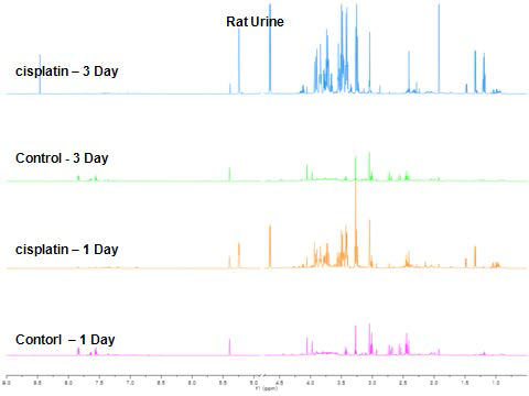 Cisplatin (20mg/kg)을 투여한 rats의 뇨에서 NMR spectrum의 변화