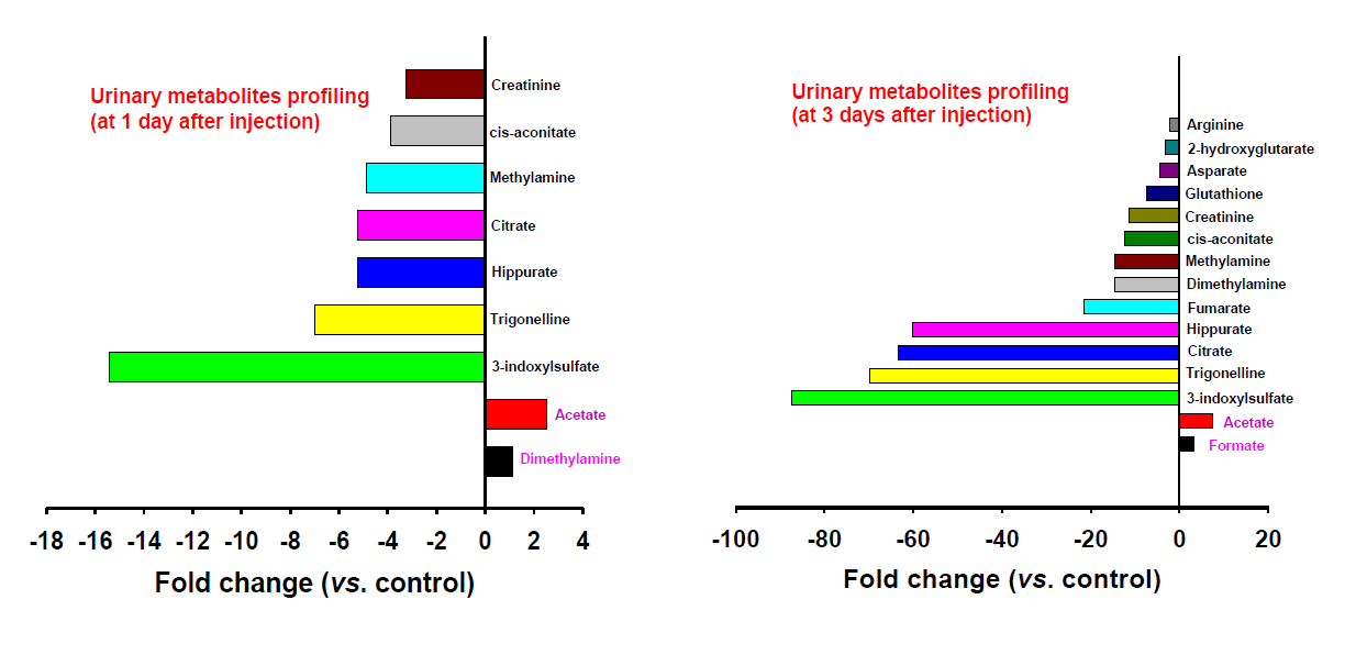 Major metabolites profiling in the urine of Sprague-Dawley rats treated with cisplatin