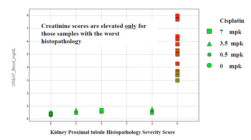 Serum creatinine vs. Histopathology