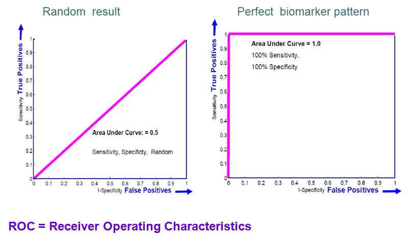 Serum creatinine vs. Histopathology