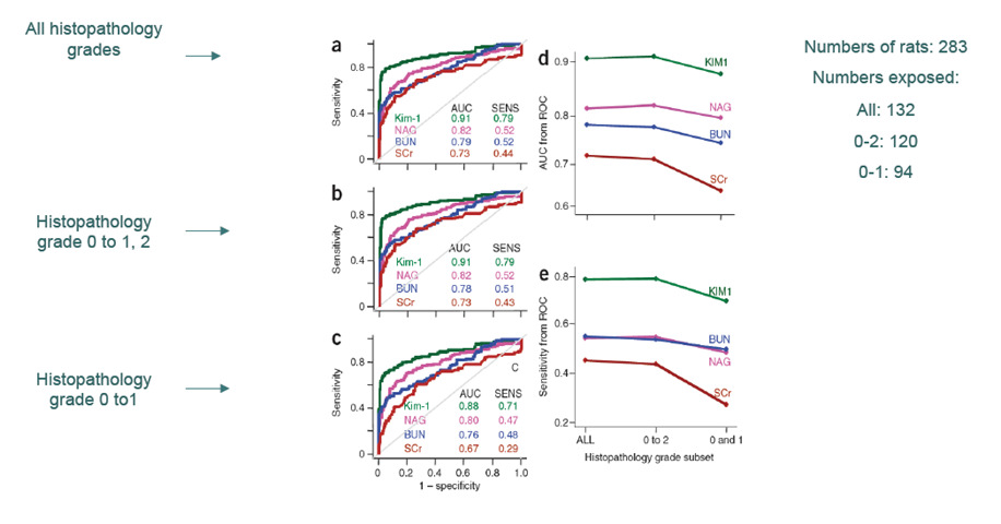 ROC curves and AUC and sensitivity graphs for urinary Kim-1 compared to BUN and Cr in Tubular Injury