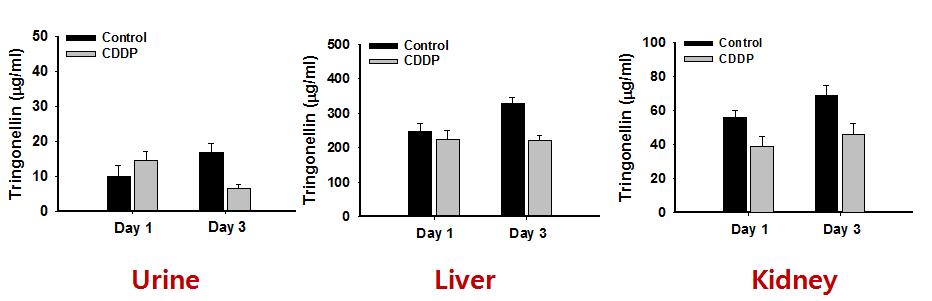 Average concentrations of tringolellin in the urine, kidney, and liver of Sprague-Dawley rats treated with cisplatin