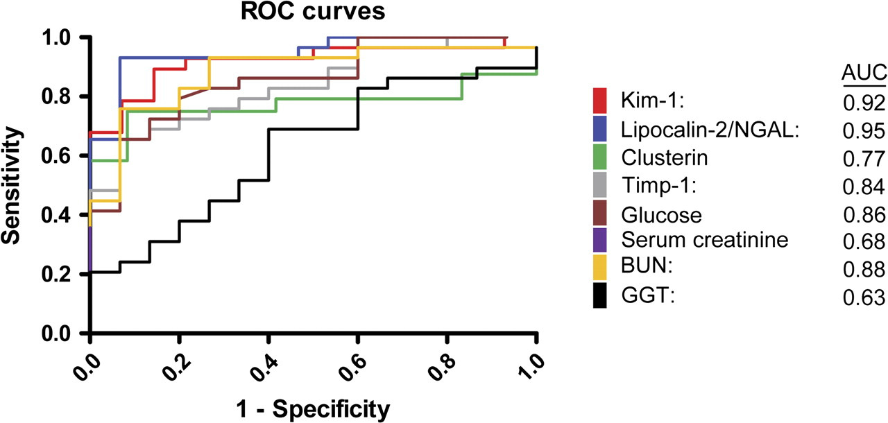 ROC curves for candidate urinary biomarkers compared with traditional clinical chemistry parameters. The area under the ROC curve, which serves as measure for the overall ability of a biomarker to discriminate normal (control) versus diseased (treated) animals, is given in parenthesis.