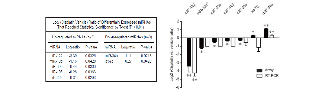 miRNA-Microarray analysis in cisplatin-treated mouse