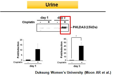 Cisplatin 처치에 의해 뇨 중 배출되는 Phlda3 단백질