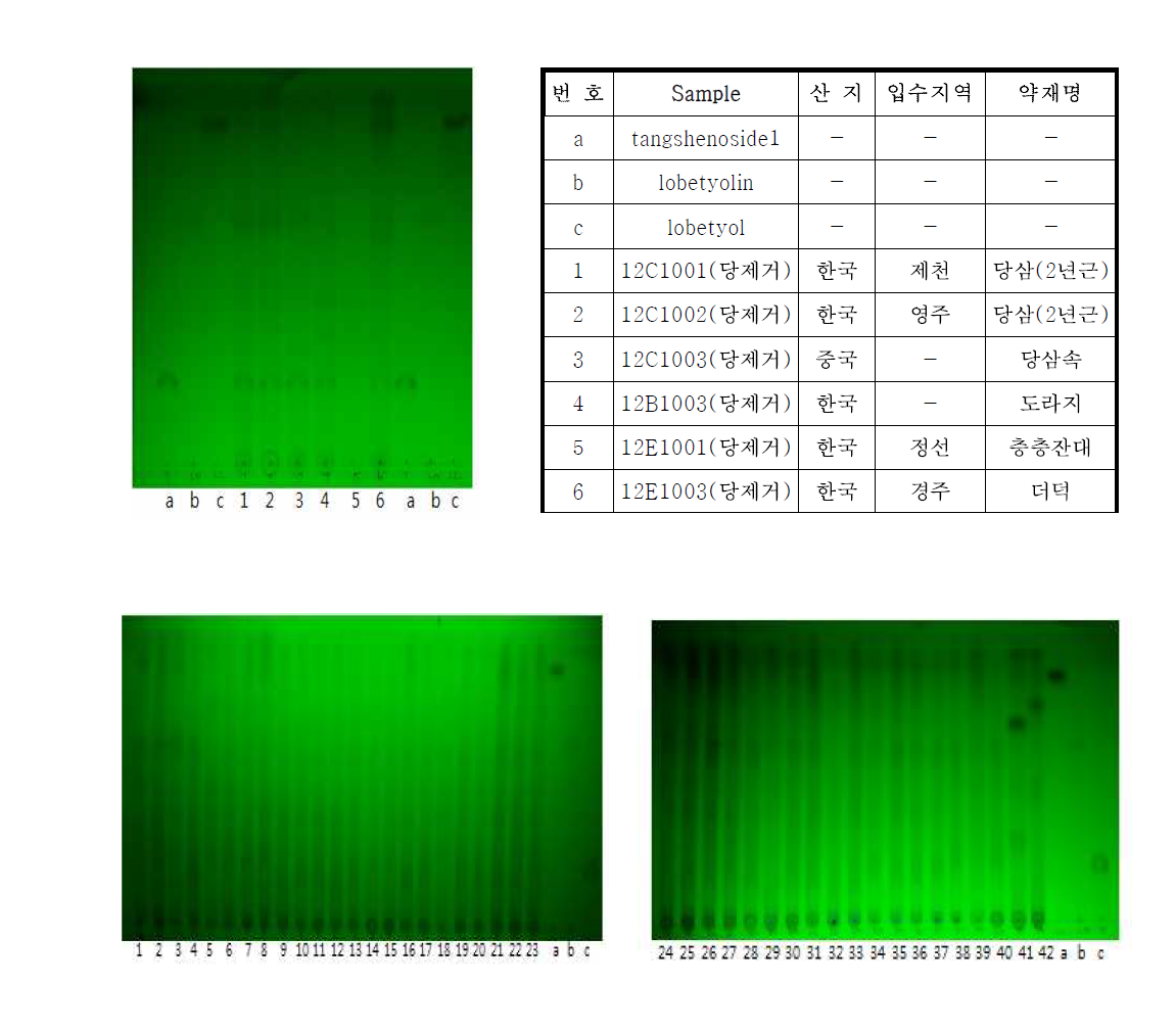 Thin layer chromatography of 42 Codonopsis Pilosulae Radix samples (normal phase, UV 254 nm)