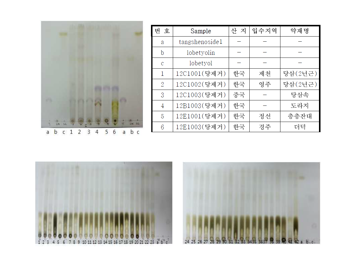 Thin layer chromatography of 42 Codonopsis Pilosulae Radix samples (normal phase, color developing method using 10% sulfuric acid)