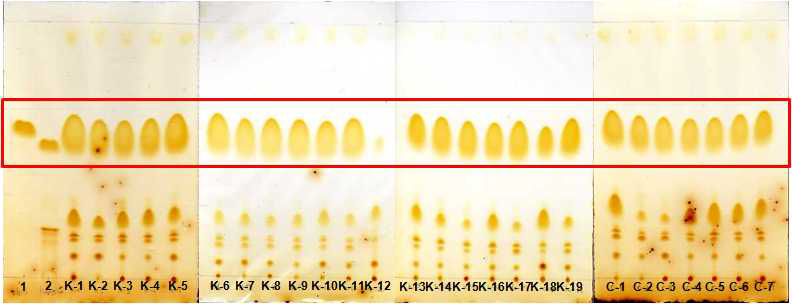 Thin layer chromatography of 26 Coix Seed samples Marker compounds; 1. glyceryl trioleate 2. glyceryl trilinoleate
