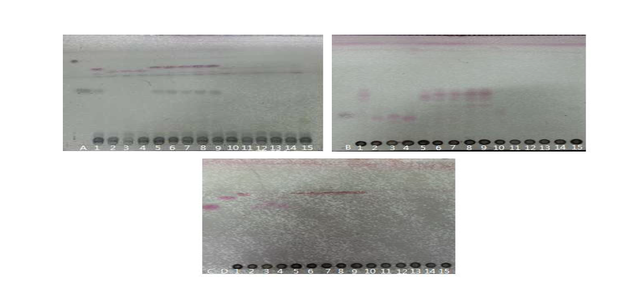 Thin layer chromatogram of standards and marker compounds in Peucedani radix samples (vanillin H2SO4)