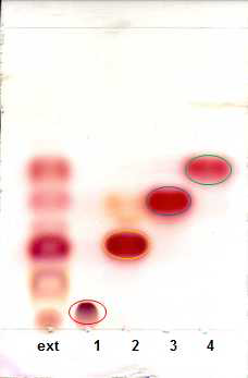 Thin layer chromatography of standards and Pinellia tuber extract spot numbers; ext. K-1, 1. arginine 2. alanine 3. valine, 4. leucine
