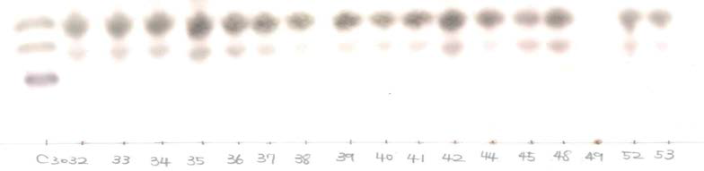 Thin layer chromatography of 142 Persicae Semen and Armeniacae Semen extract samples. (normal phase, color developing method using 10% sulfuric acid)