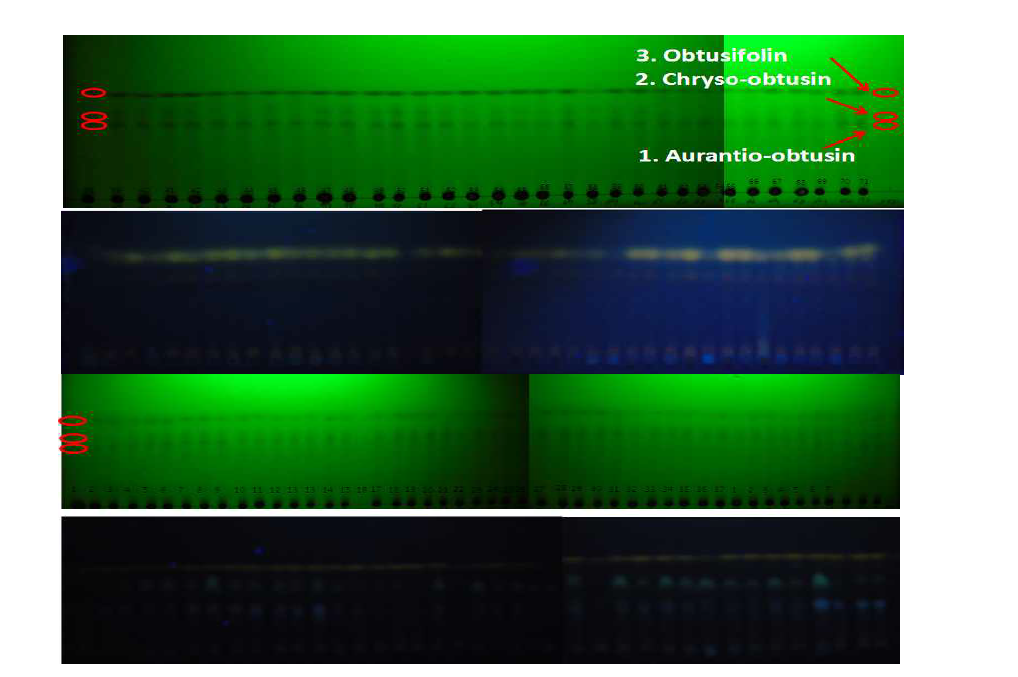 Identification of marker compounds in samples by TLC at 254, 365 nm.