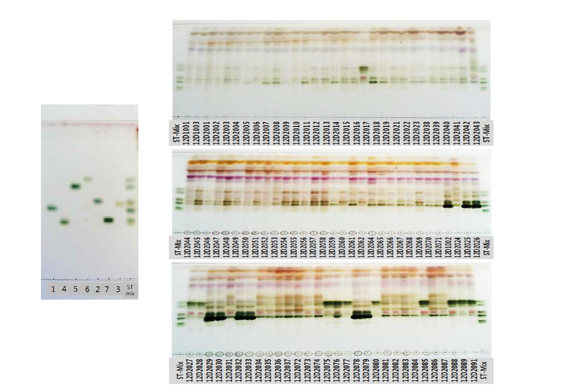 Thin layer chromatography of 91 Liriope platyphylla and Ophiopogon japonicus samples. (normal phase, color developing method using 10% sulfuric acid)