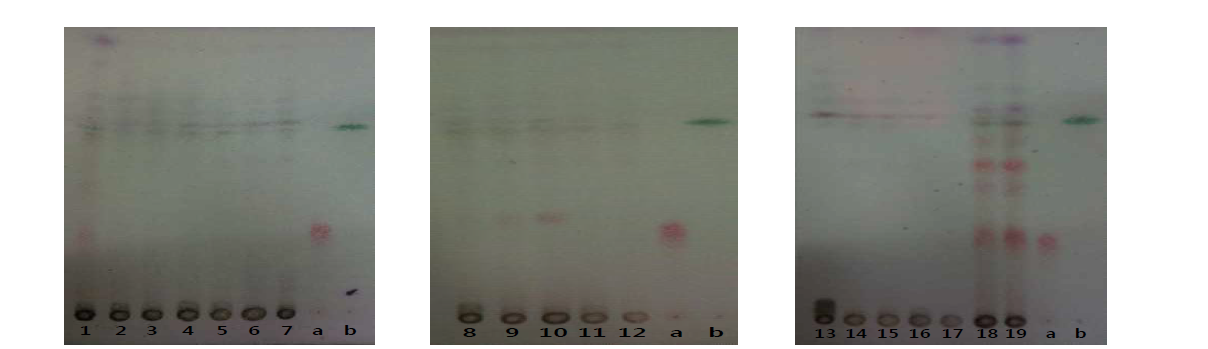 Thin layer chromatography of Cudraniae Cortex and 18 samples of Morus alba L. with vanillin sulfuric acid, normal phase; 1,18,19: Mori Cortex Radicis, 2: Cudraniae Cortex, 3~7: Mori Folium, 8~12: Mori Ramulus, 13~15: Mori Fructus, 16~17: 뿌리심, a. Kuwanon G, b. Morusin.